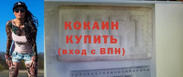 амф Ельня
