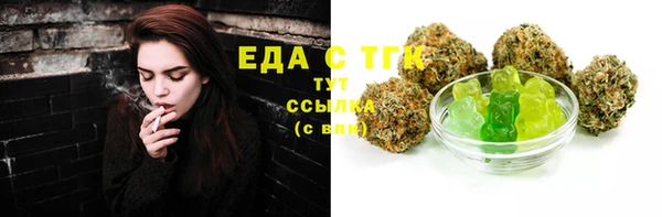 амф Ельня