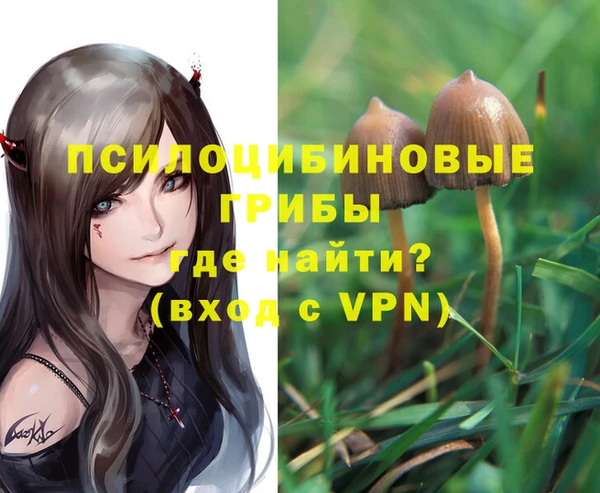 МДМА Елизово