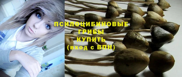 мескалин Гусев