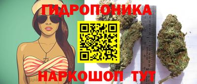 эйфоретик Краснокаменск