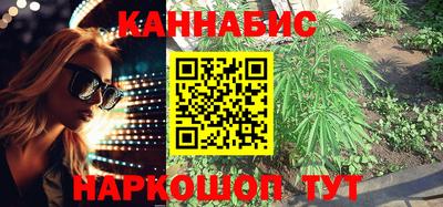 дмт Краснодар