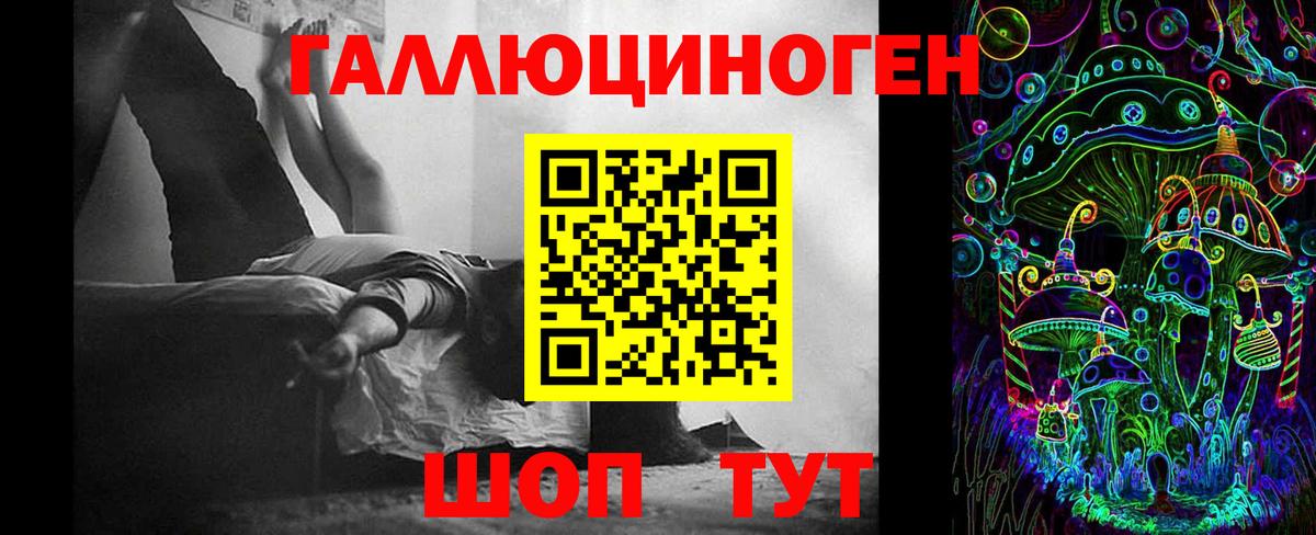 Псилоцибиновые грибы Psilocybe Кореновск