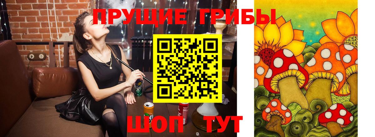 Кореновск  дарнет шоп  Вход с VPN  Галлюциногенные грибы Psilocybe 